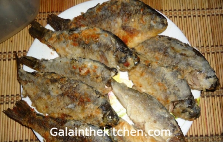 My Story Of Exotic And Dangerous Russian Fish-Eating Habits