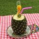 Photo Serving Pineapple with Norpro