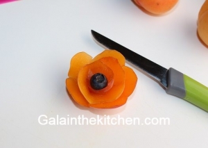 Photo Blueberry with apricot flower