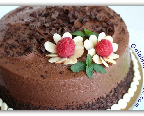 Photo Flower raspberry garnish idea for cake
