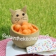 Cat Out Of Cantaloupe Photo