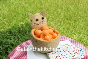 Photo cat paws melon