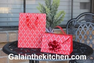 DIY Red Gift Bag Purse